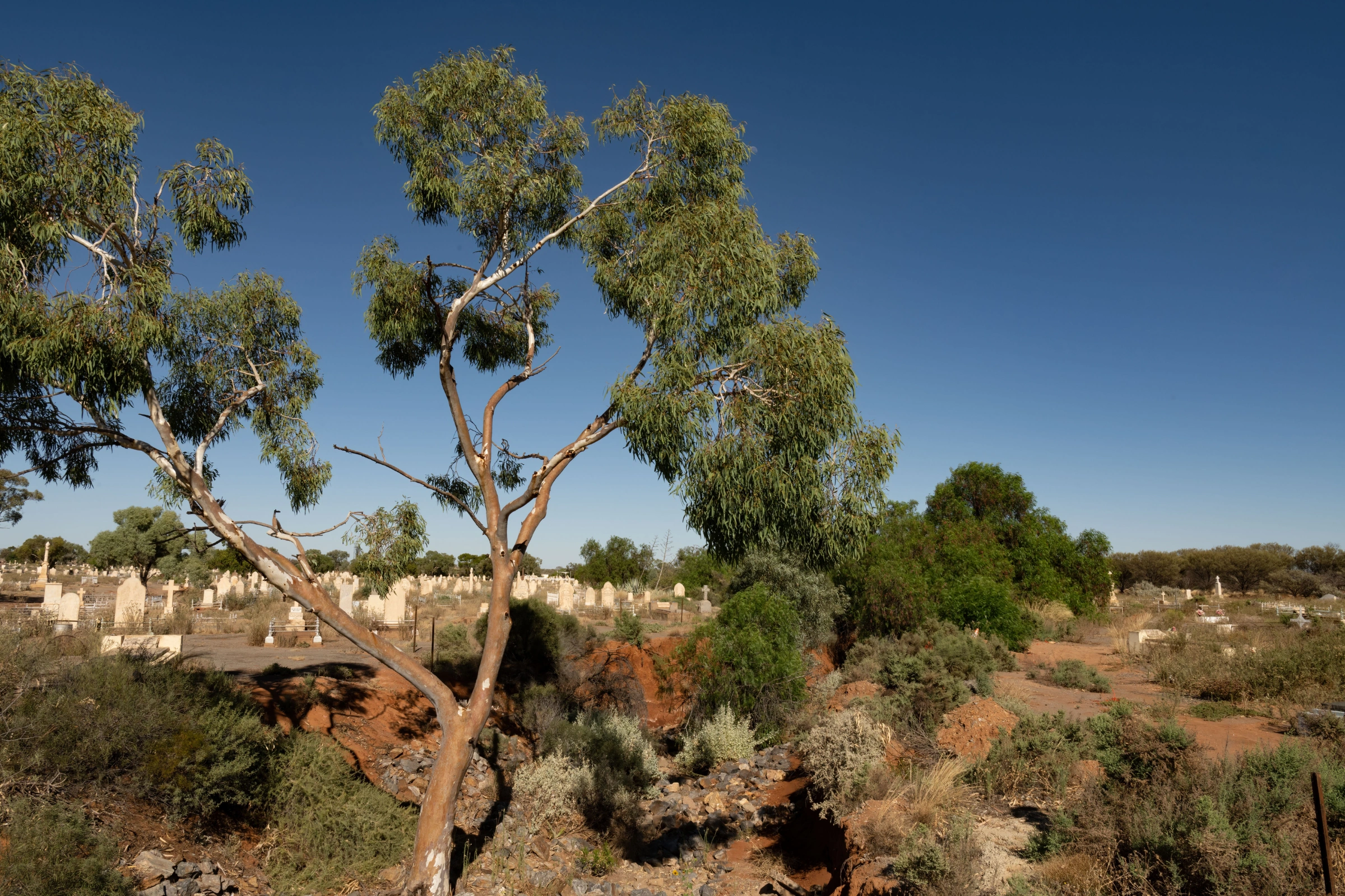 Broken_Hill,_New_South_Wales[1].webp